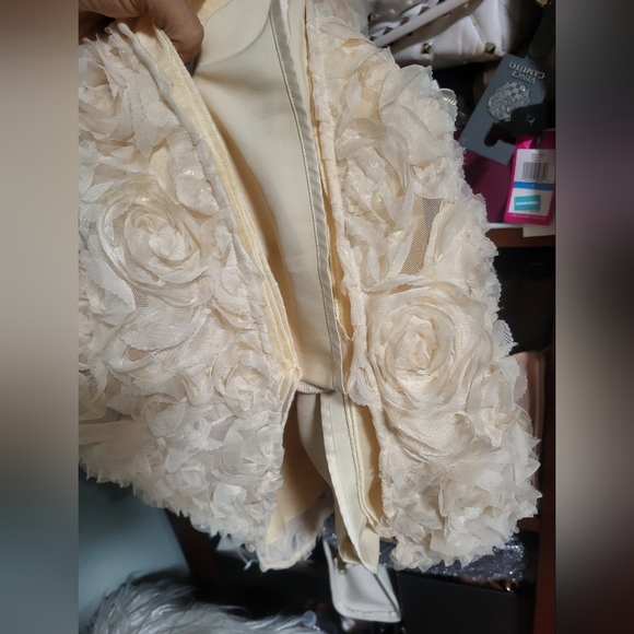 Flower Girl Dress, Roses Gold  ,  PartyDres size 8 - Picture 8 of 14